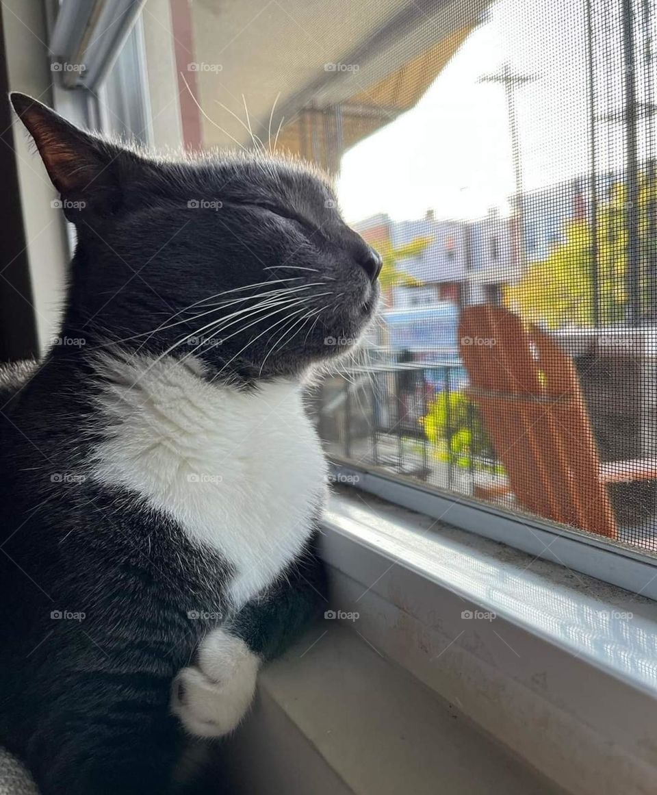 Feel that sun on your face