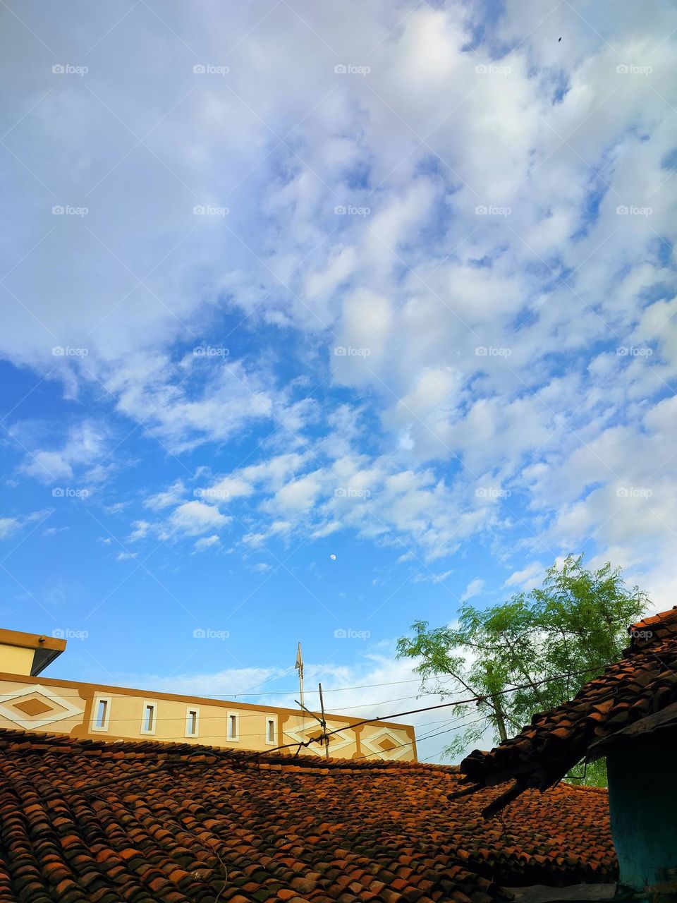 sky ,clouds, tree and me