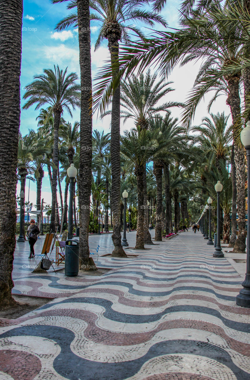 Taking a peaceful stroll in Alicante 