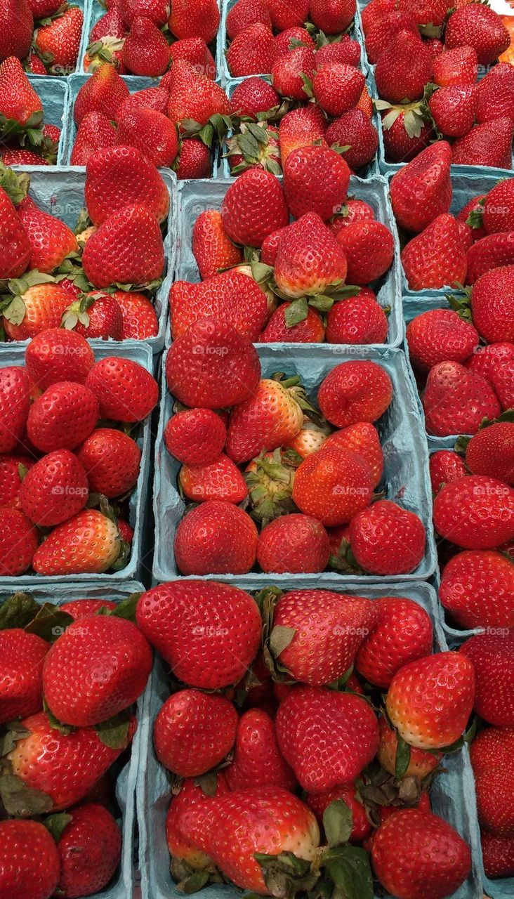 Rows and Baskets of strawberries