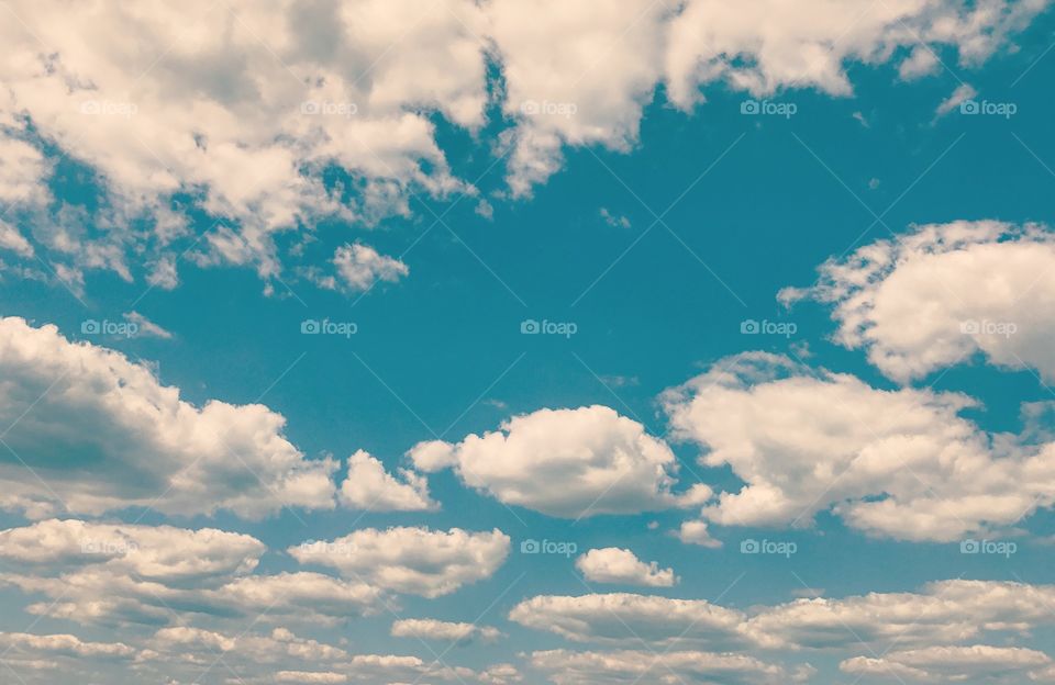 Bright blue sky with cotton like puffy clouds. 