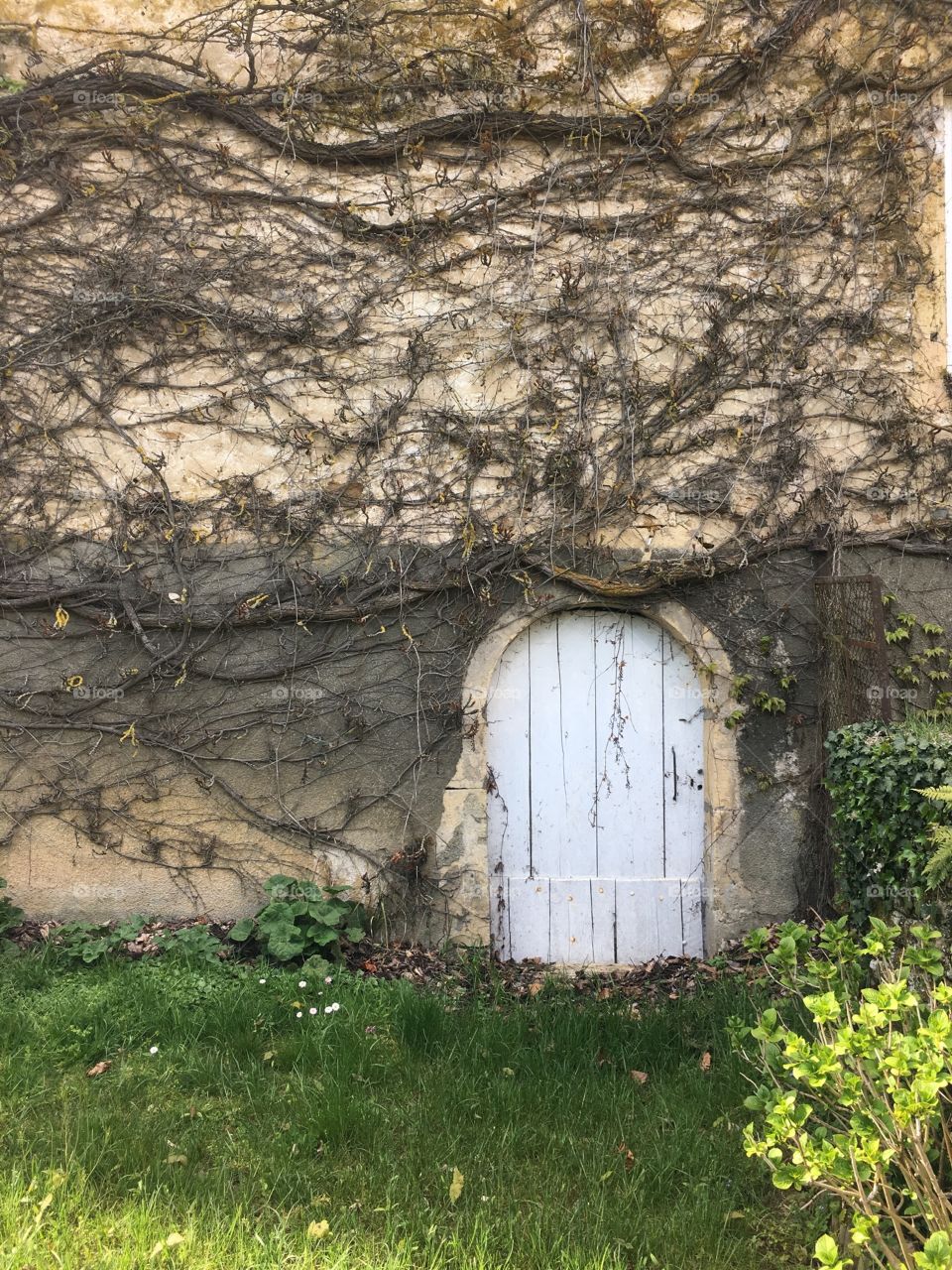 Little door