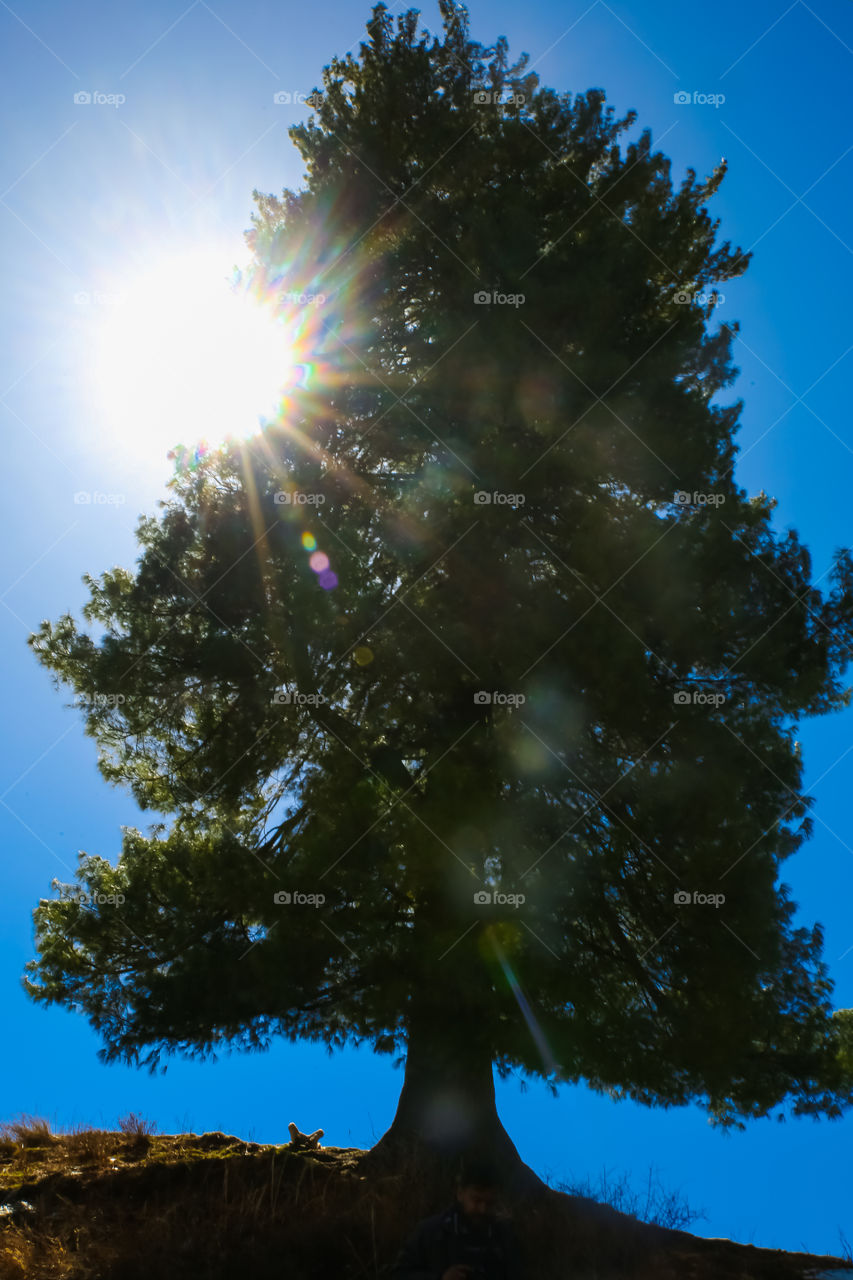 illuminating sun rays