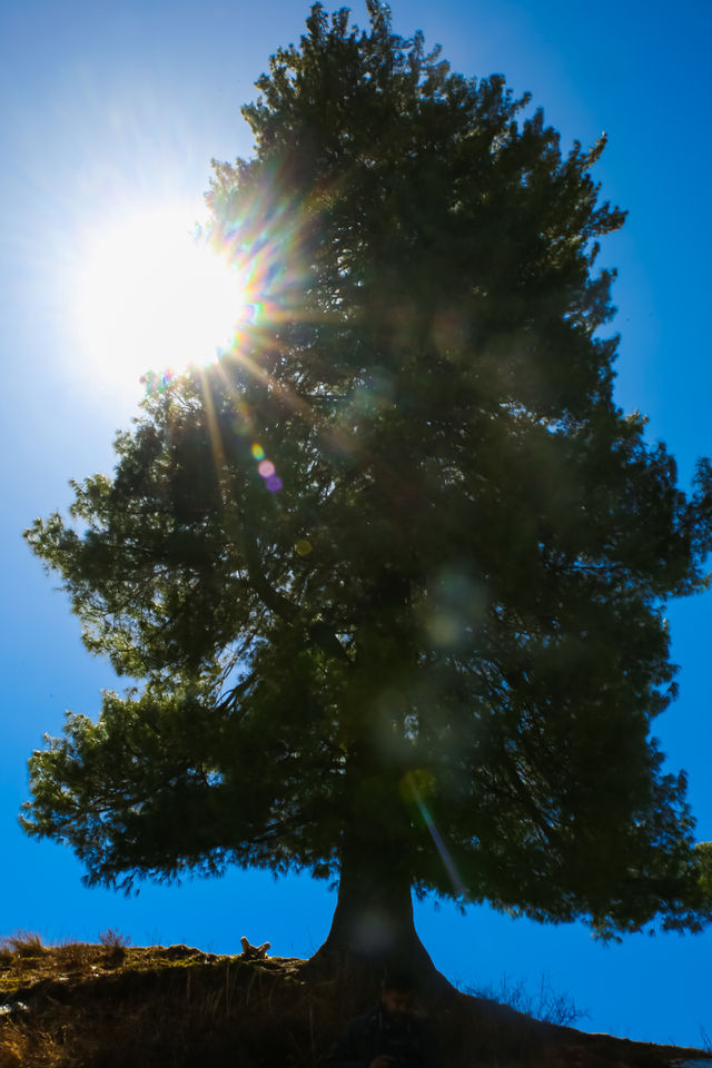 illuminating sun rays
