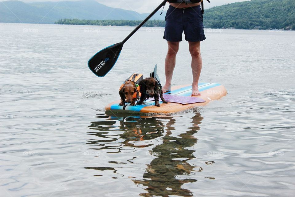 paddle board