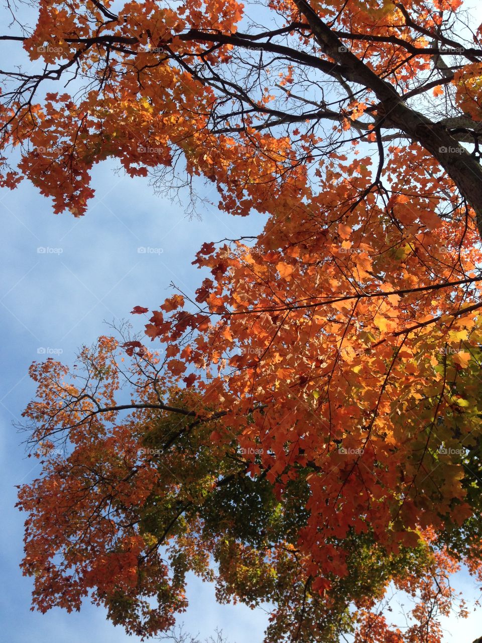 Autumn is finally here