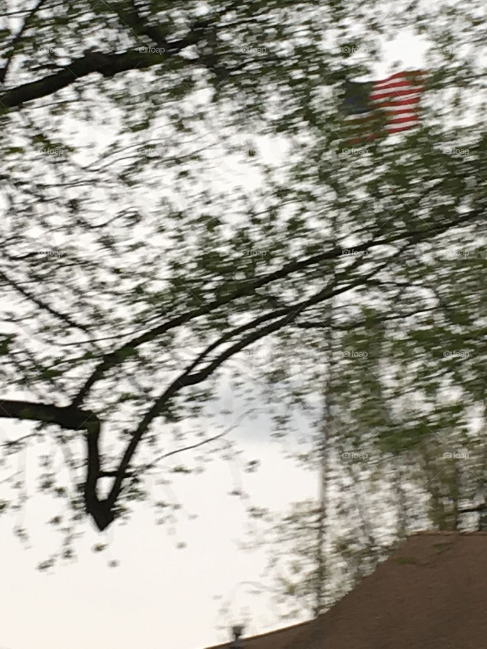 American Flag blowing in the wind on a cloudy day. Hard to see with the trees in front of it. 