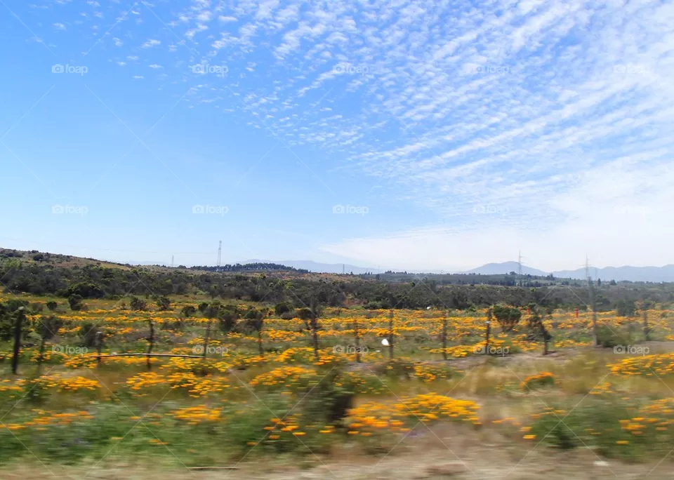 Moving view