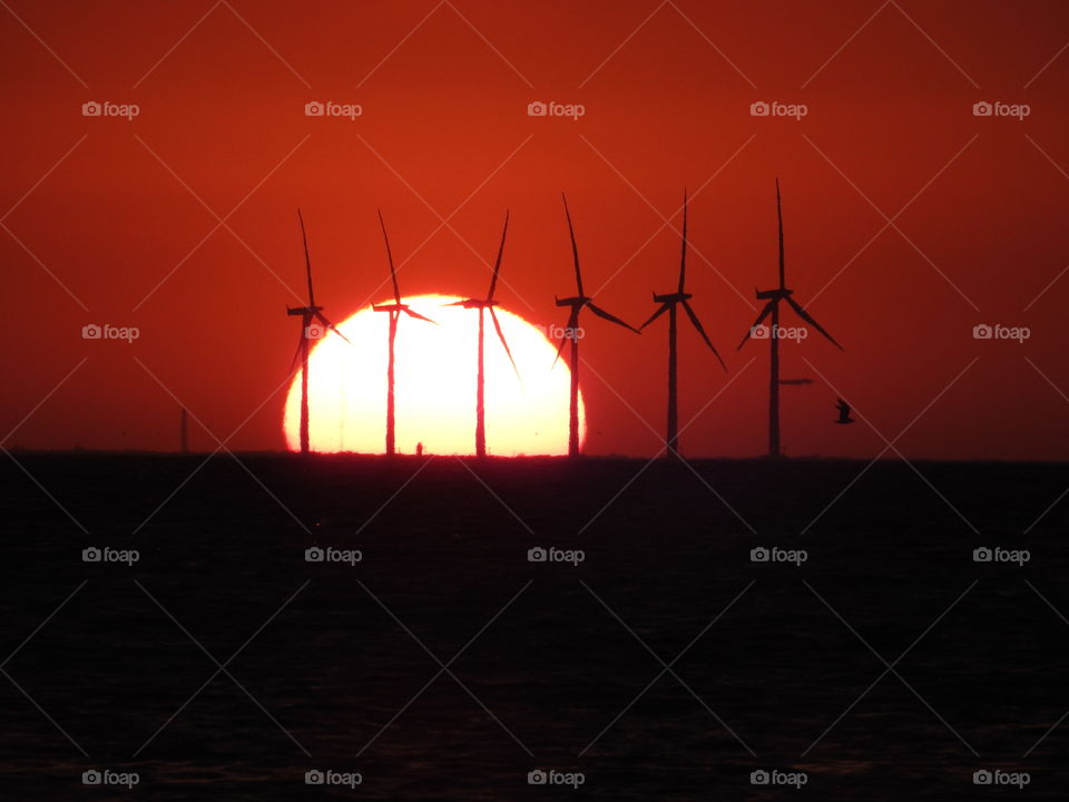 Windmills in sunset