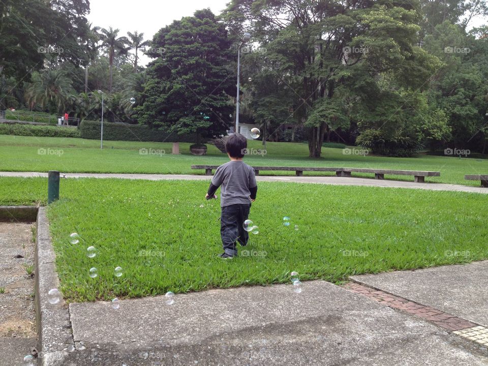 Grass and Bubbles