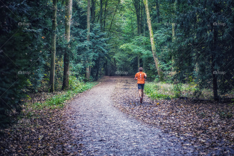 A runner in the forest on his morning run 