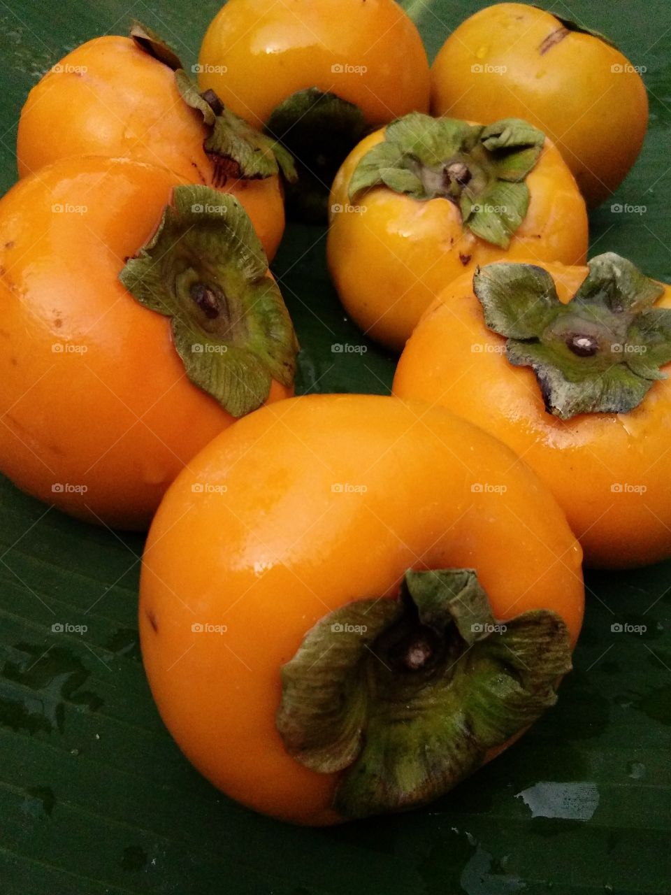 ripe sweet persimmons