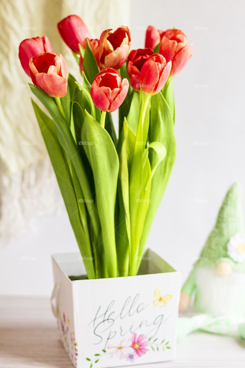 Red tulips in a box labelled spring with green knitting gnome