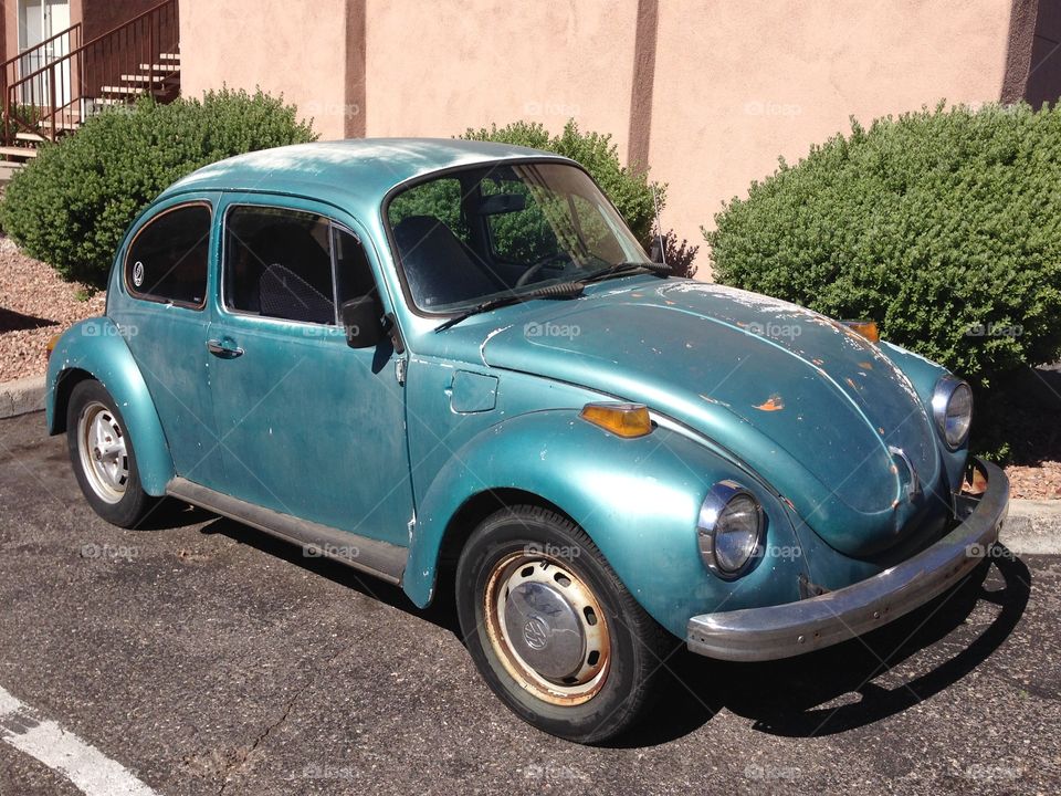 VW treasure. Be bug in Tucson 