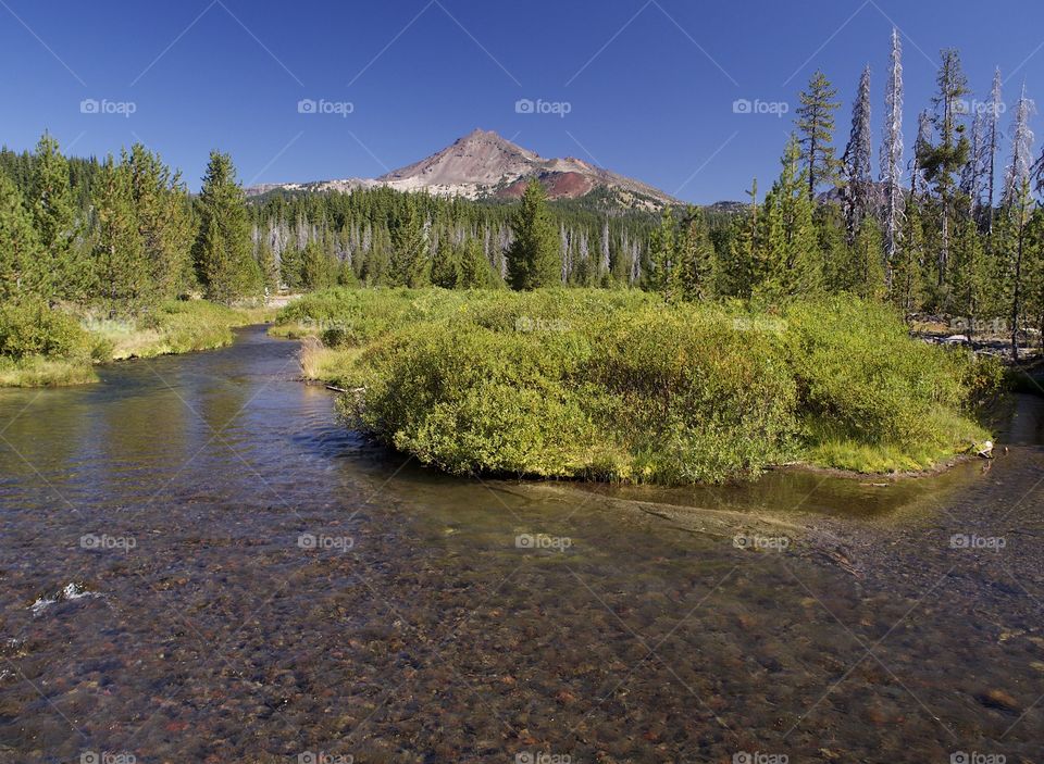 A beautiful fall landscape of Soda Creek and the South Sister in the Deschutes National Forest with towering trees and clear blue skies on a sunny autumn day.