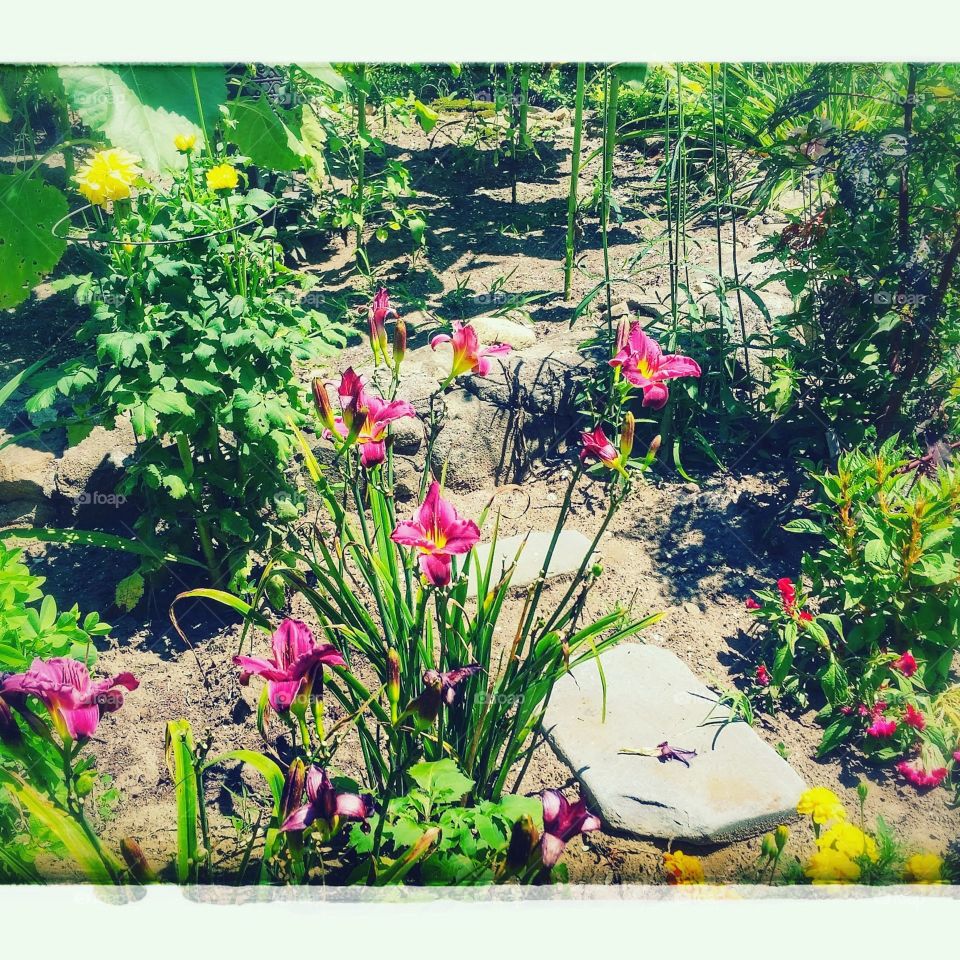 Umbrella Factory garden