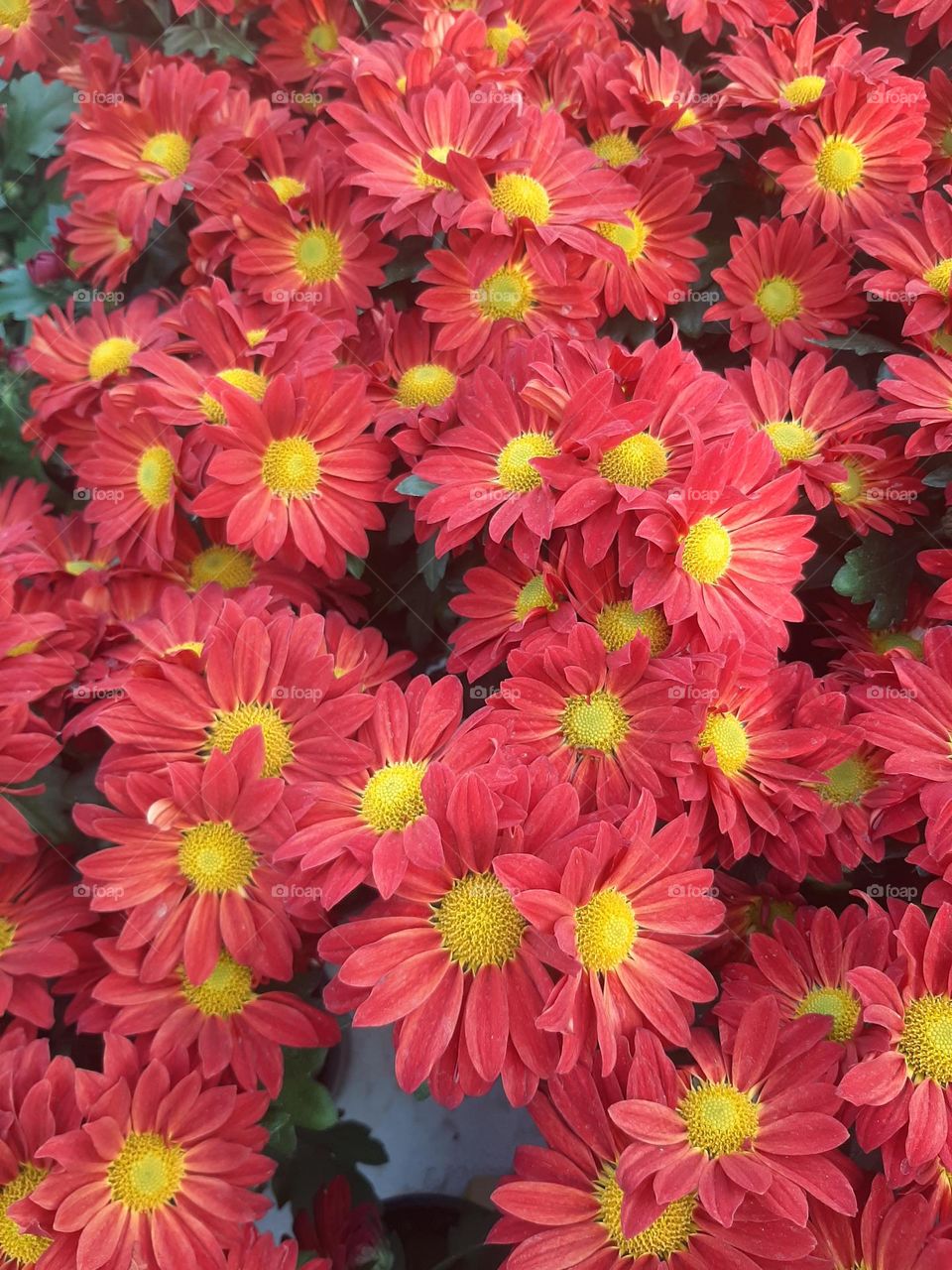 Please make me happy, I am poor, I need your help with support