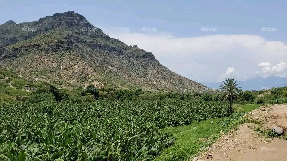 Glory be to God, the magnificent and picturesque view and the natural green trees are a view that is nothing more wonderful than it