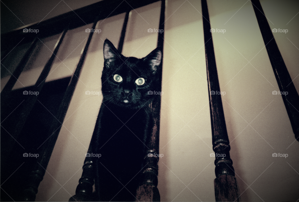 Shadow on Banister with Filter