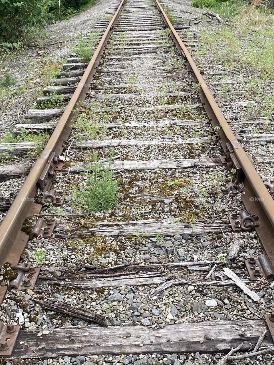 Hop on the train 