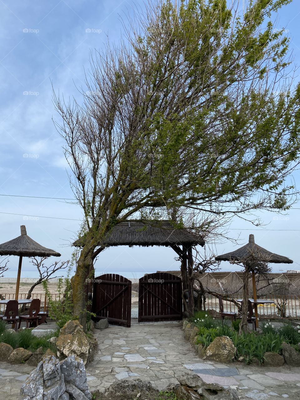 Door, sky tree and secret sea