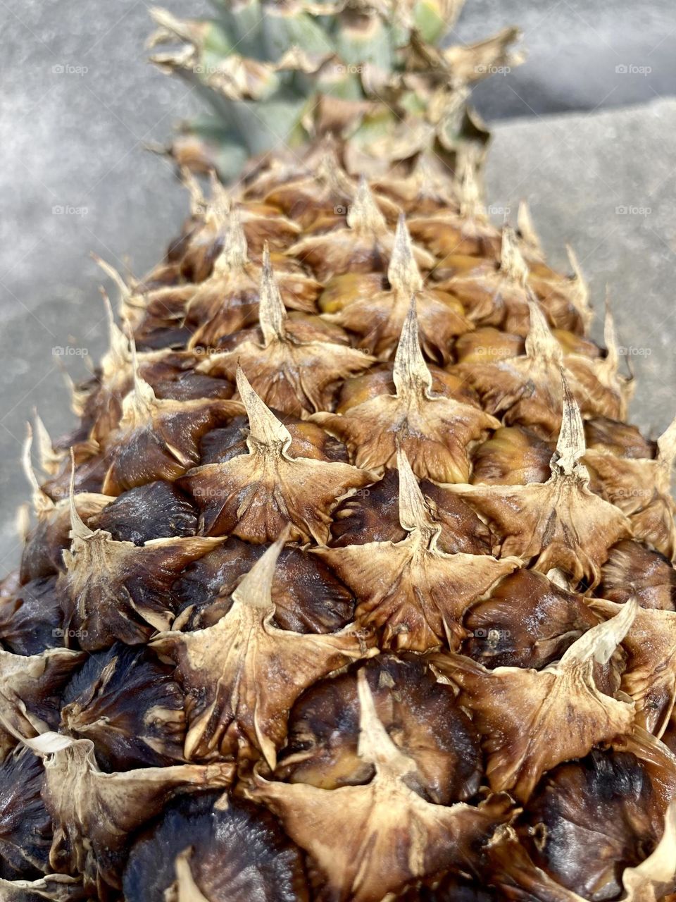 Multiverse on the side if a pineapple photography mission 