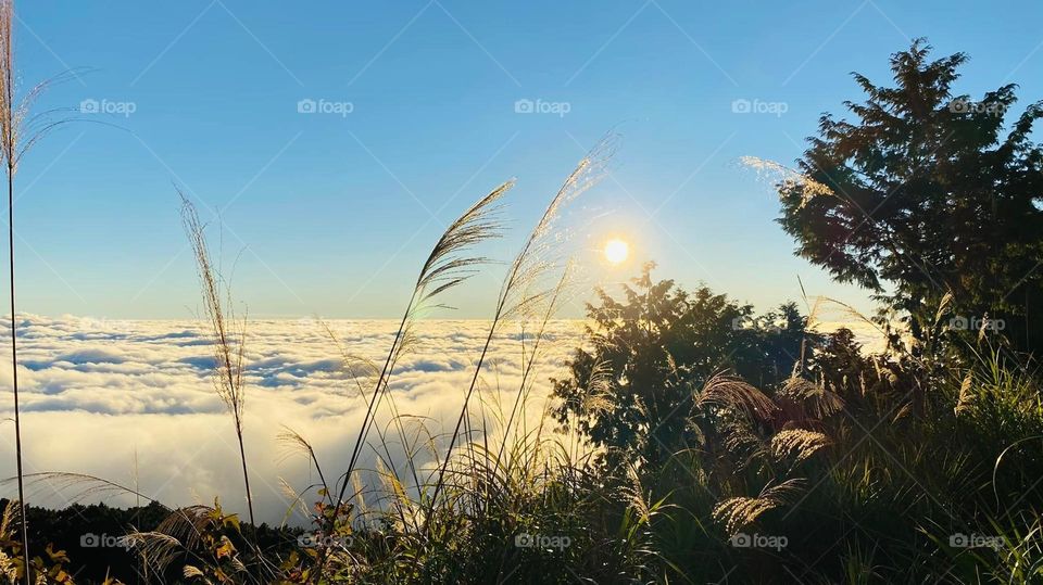 Beautiful mountain scenery with sea of clouds
