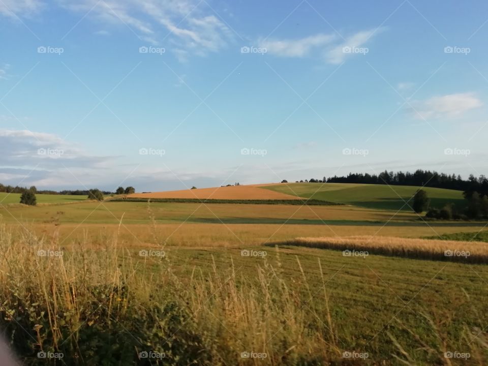 Beautiful countryside