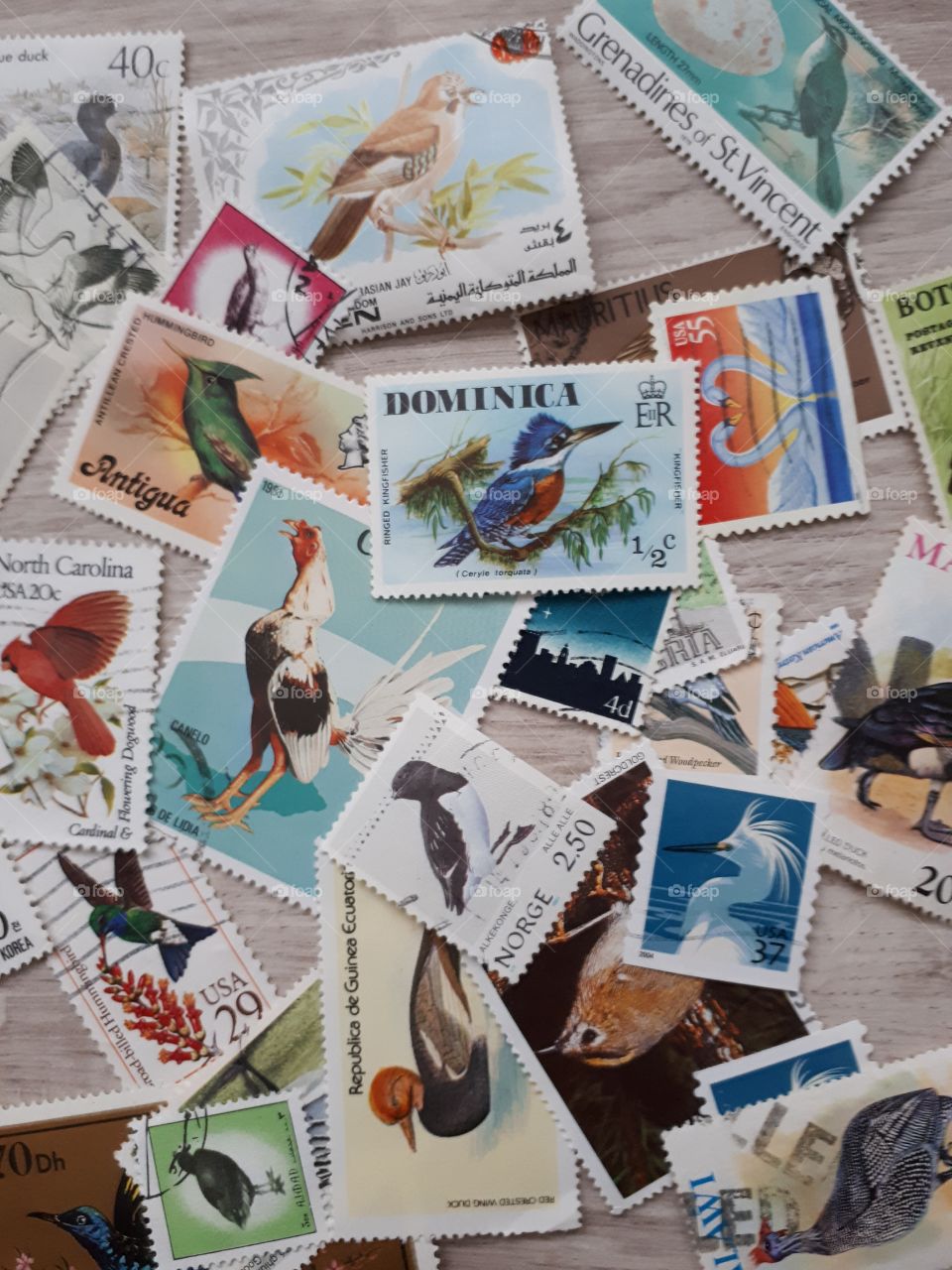Stamps birds