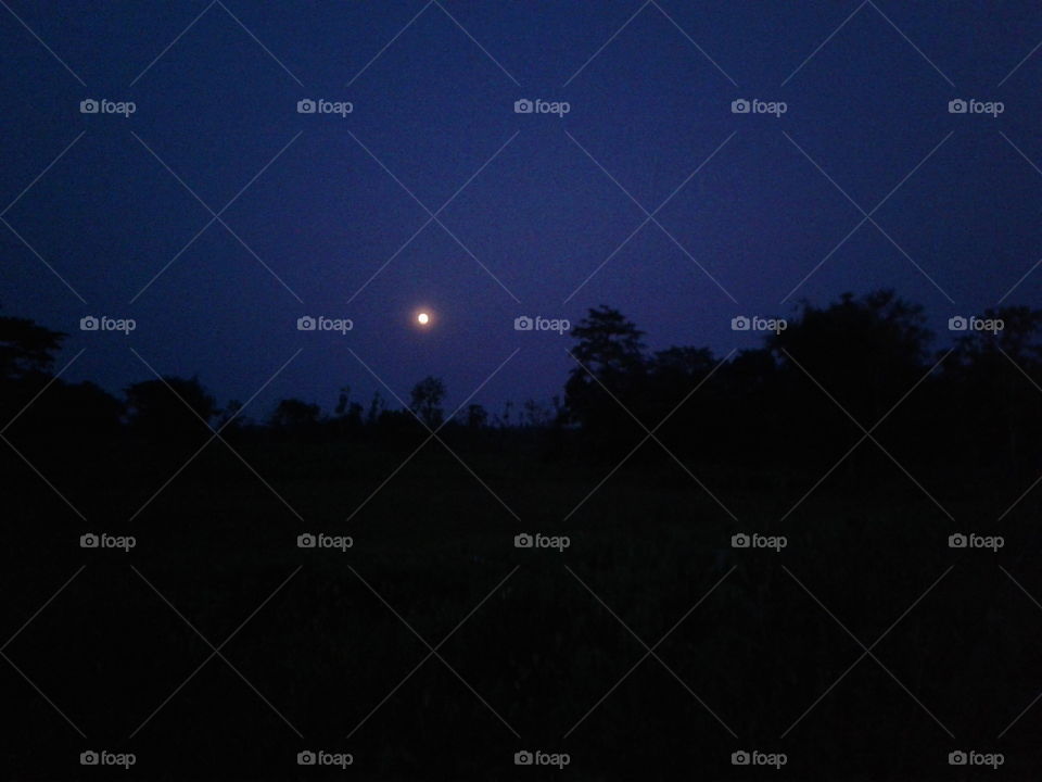 Evening Time Moon &Sky