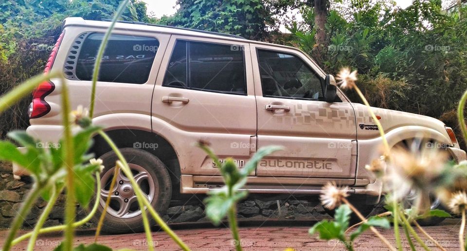 mahindra scorpio