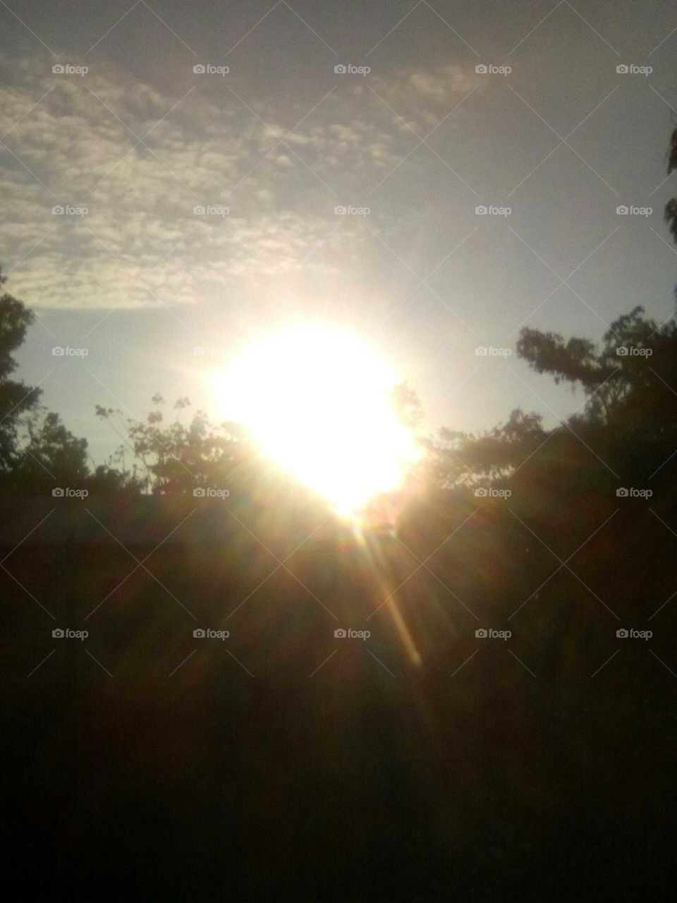 just look  under neat the sun it is very dark but look up to the sky the sun is  very sparkling