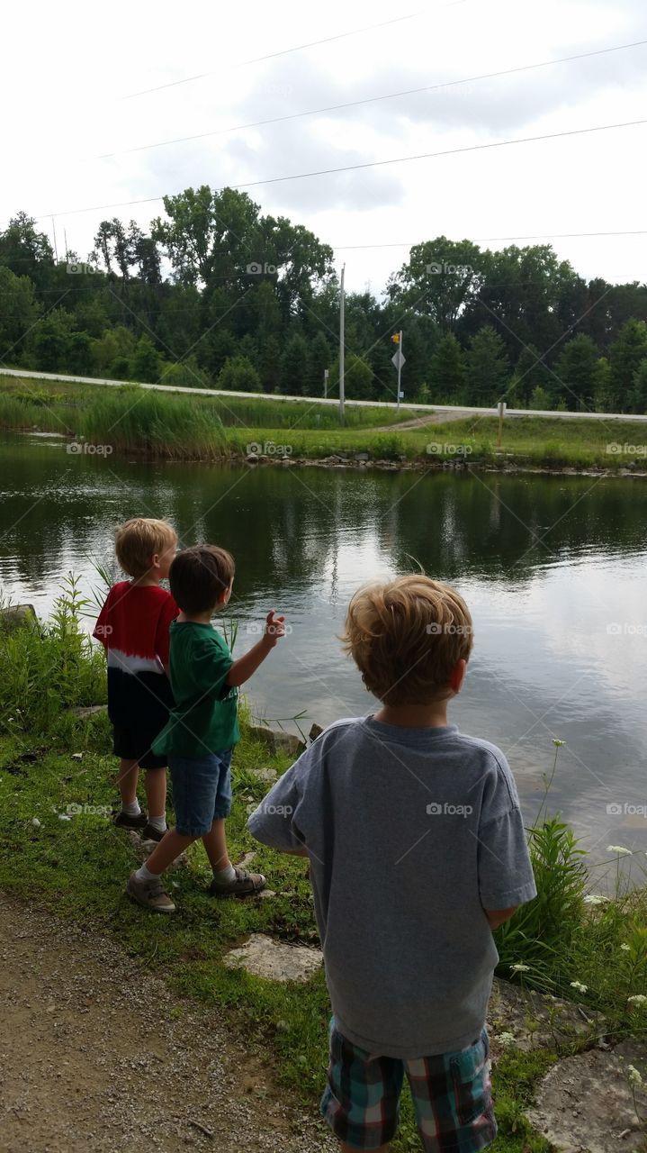 Overlooking The Pond. Boys overlooking the pond