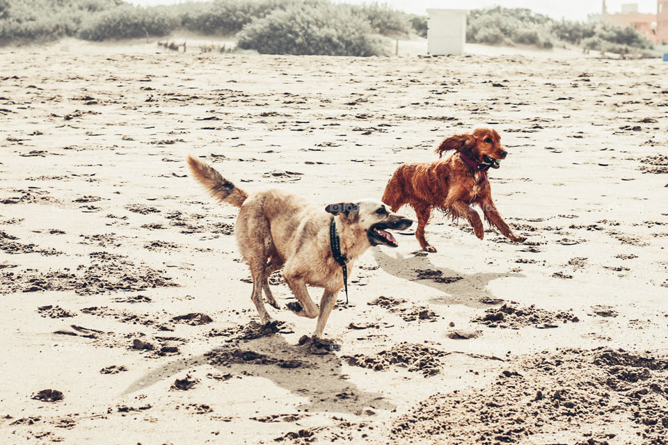 disfrutando del día de playa