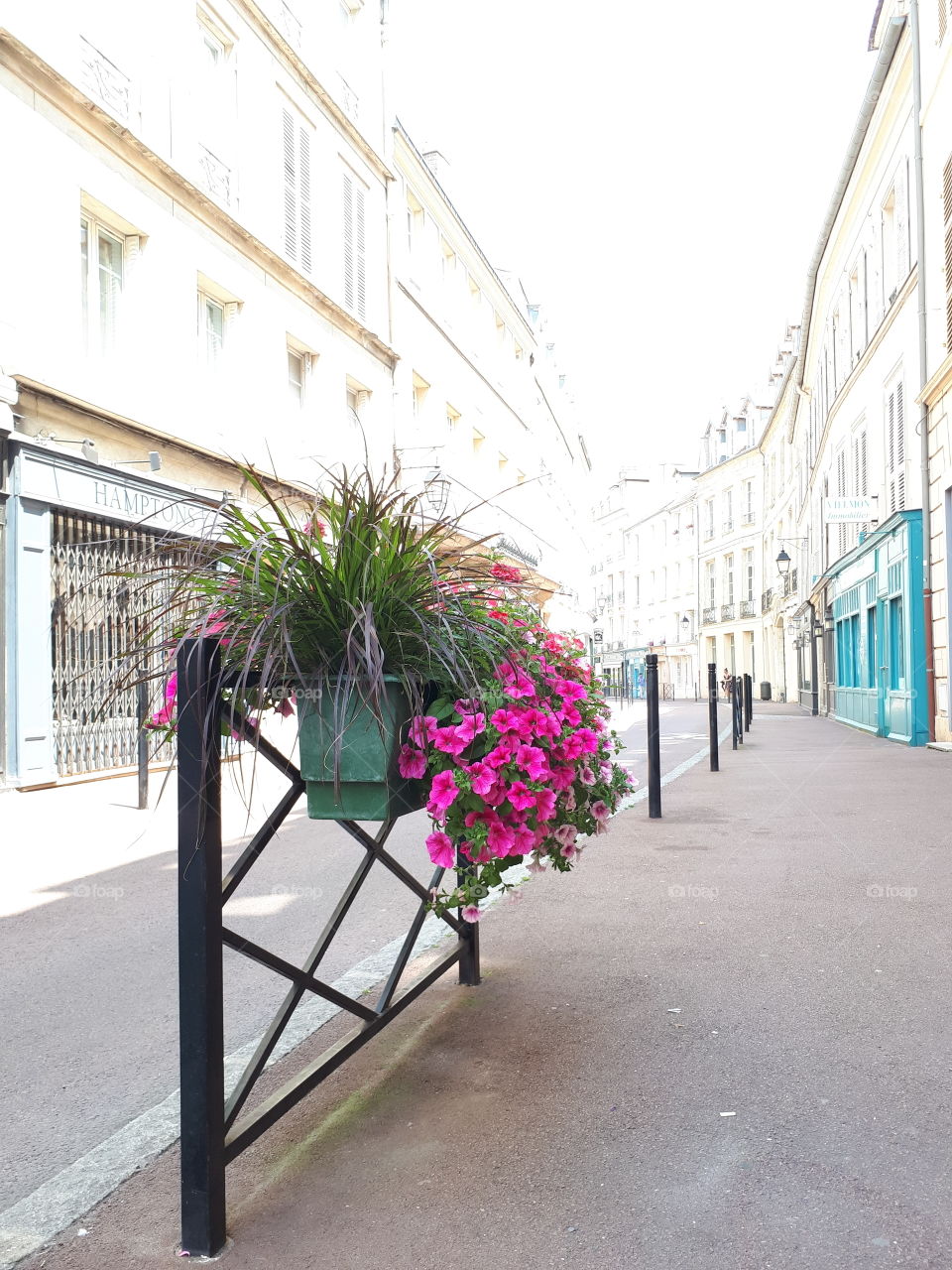 Cityscape, fence with flowerbed and pink flowers