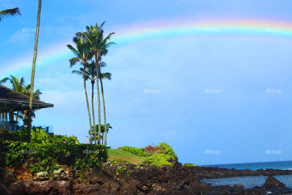 maui rainbow