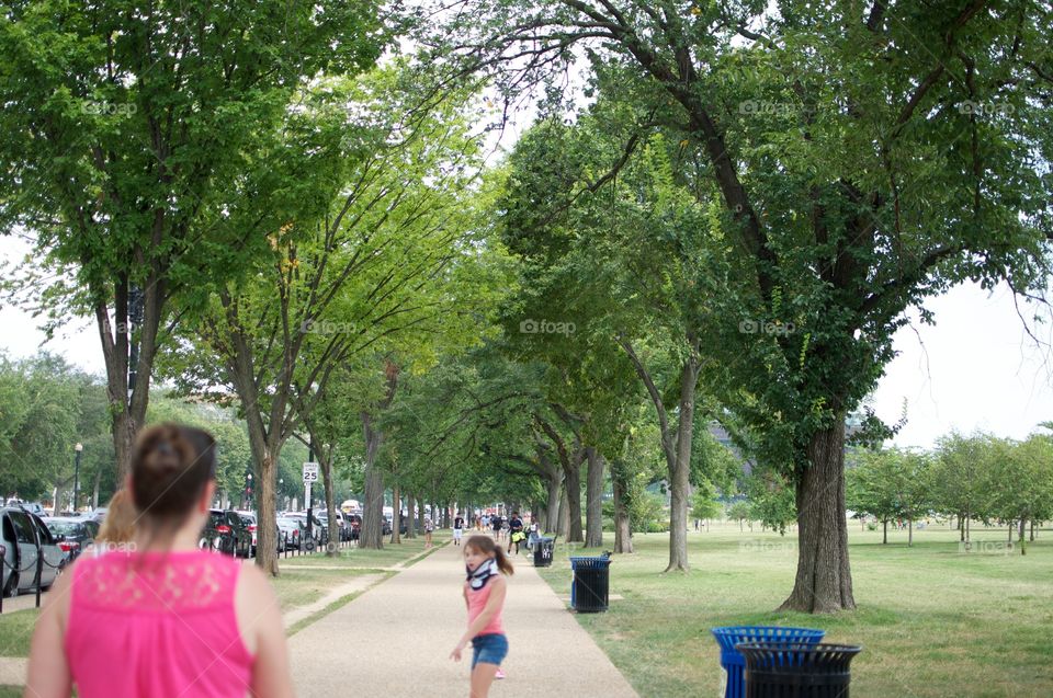Saturday in the Park 