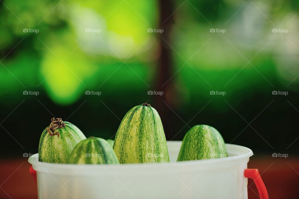 green cucumber healthy natural by munda.net