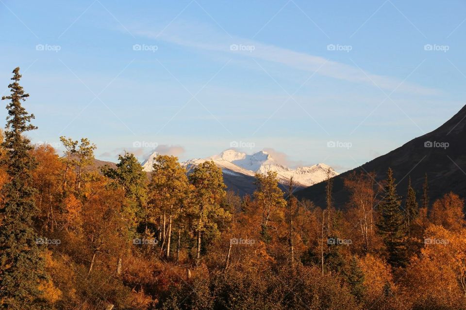 Fall in Alaska 