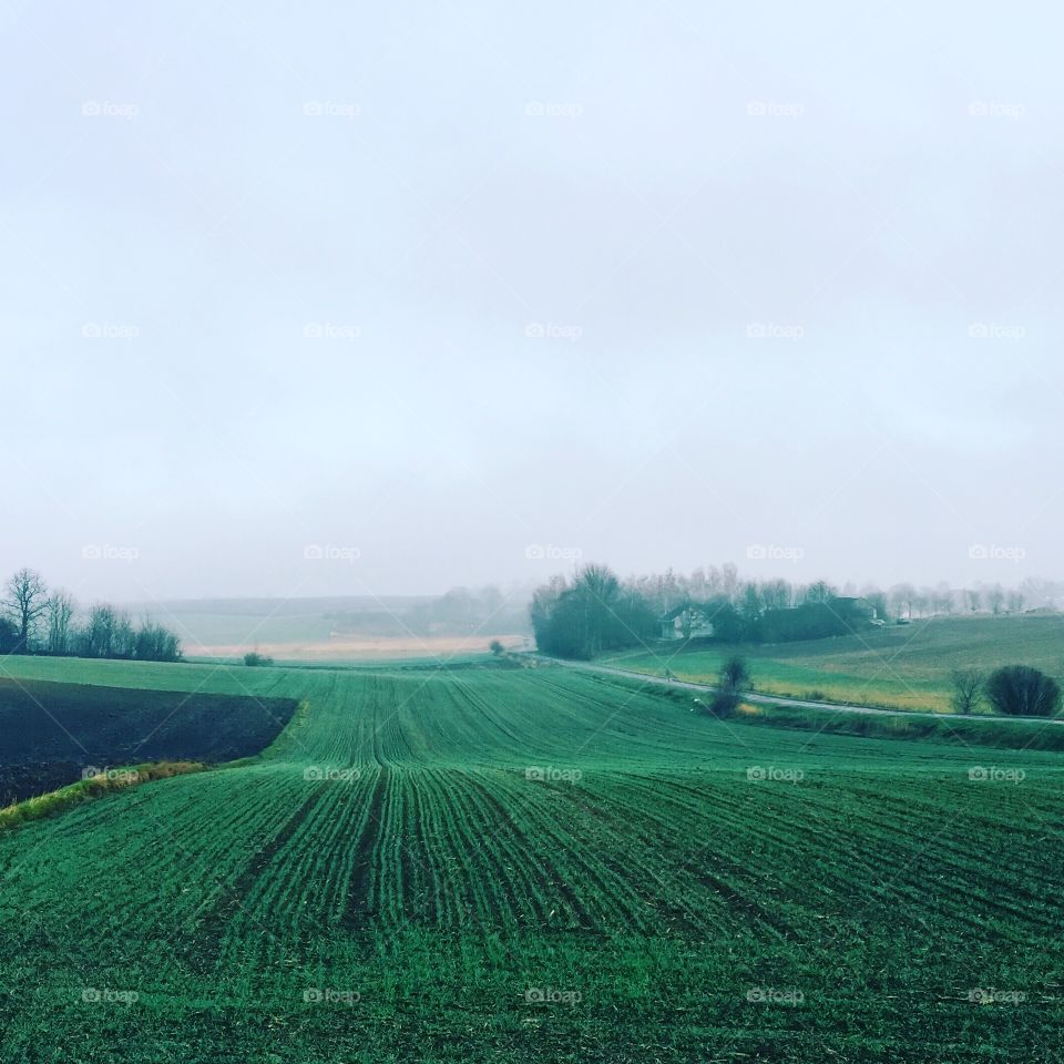 Scenic view of agriculture field