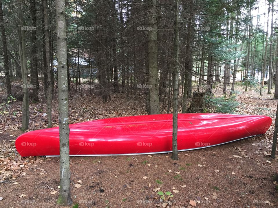 Mystical Canoe 