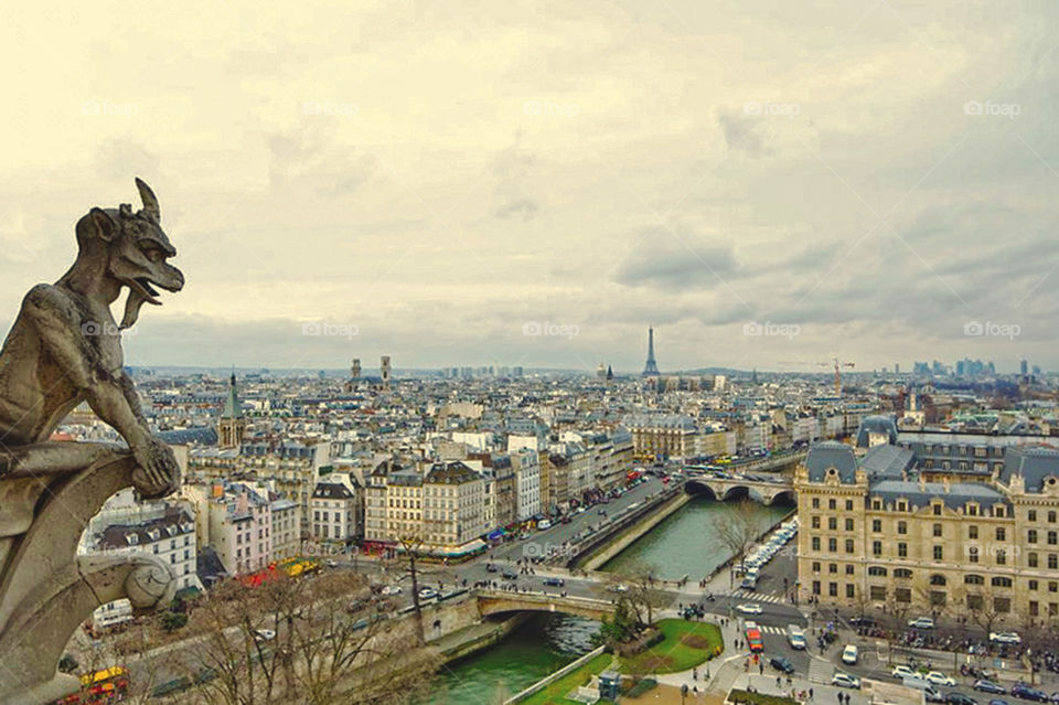 Paris Notre Dame 