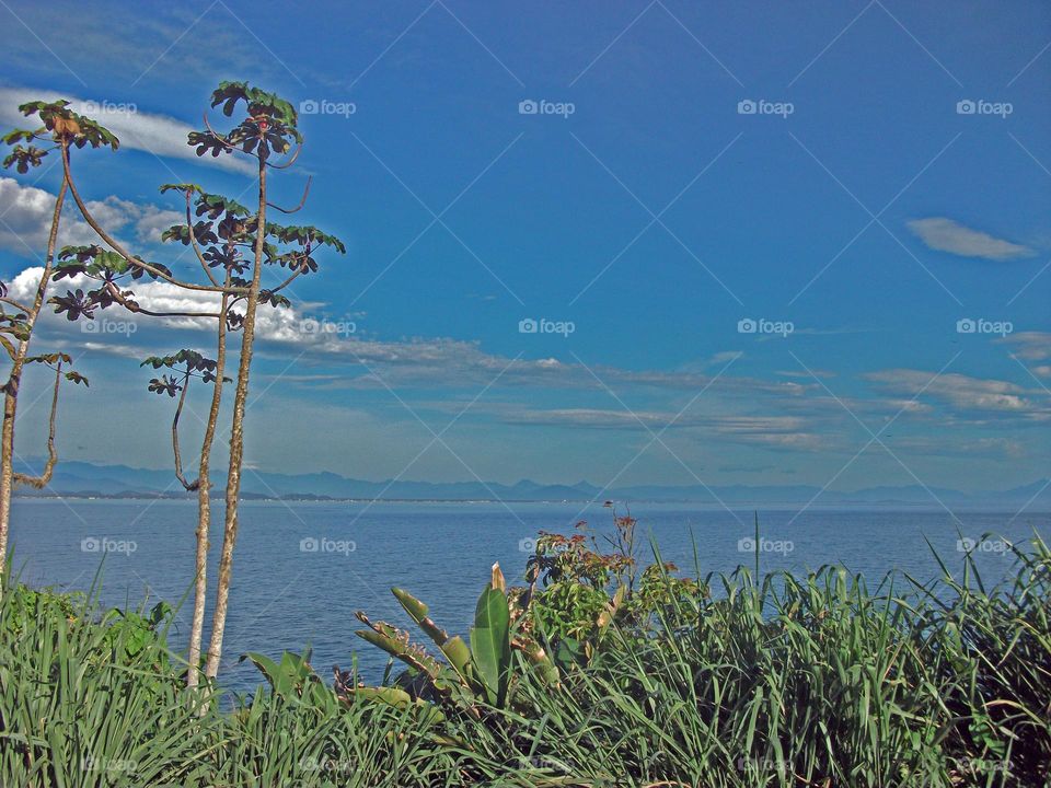 Apaixonante paisagem de ar puro.