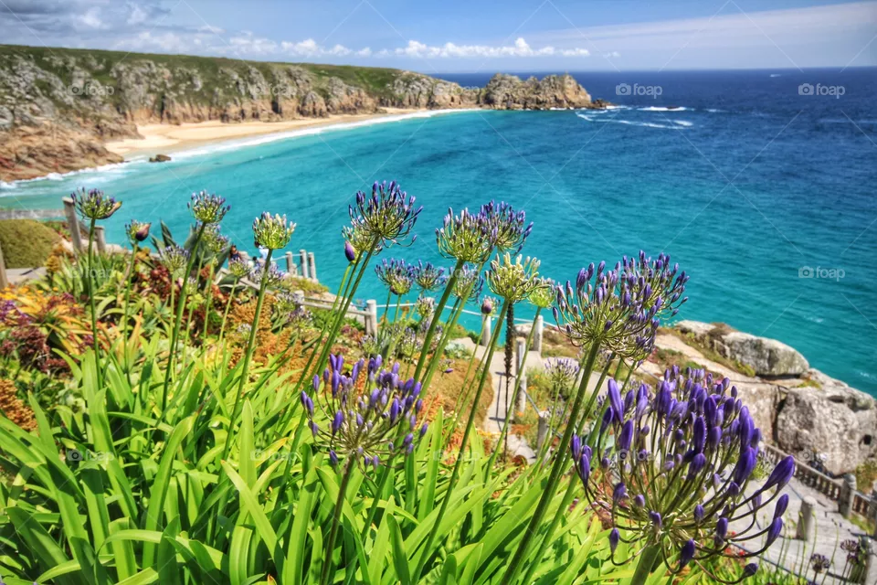 Porthcurno Beach in Cornwall on a beautiful, hot, sunny day. A landscape image of a sandy Cornish beach from cliff tops.