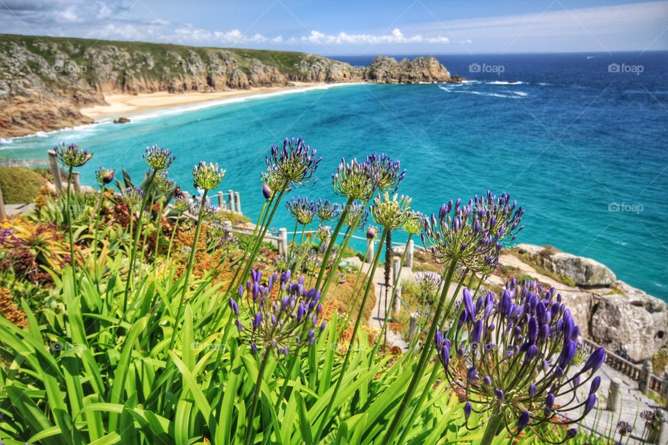 Porthcurno Beach in Cornwall on a beautiful, hot, sunny day. A landscape image of a sandy Cornish beach from cliff tops.
