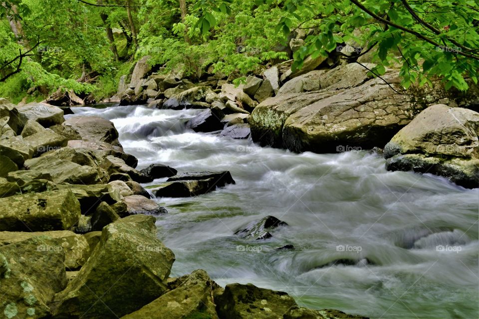 Deer Creek Rapids