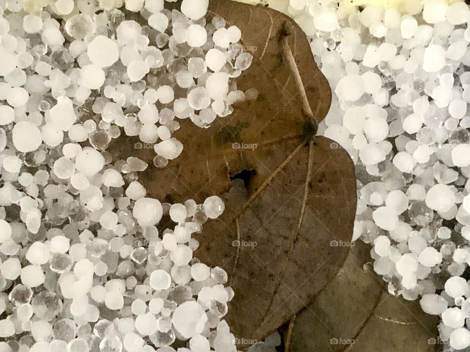 Hail on the ground with dry leafs