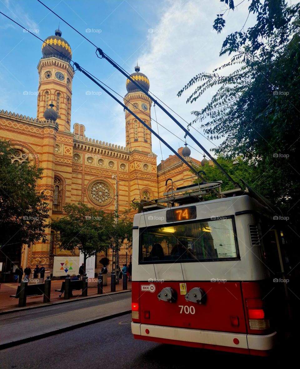 magenta trolleybus