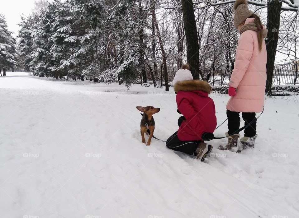 children walking with dogs winter time