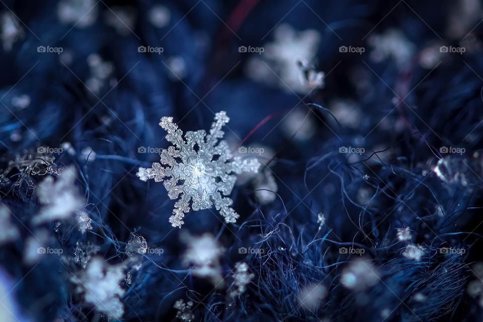 Beautiful snowflake on a blue background